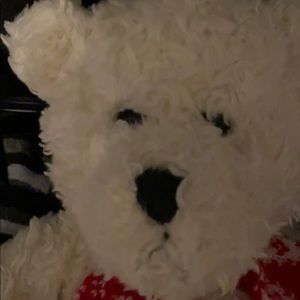 Meet your Posher, Patrizia